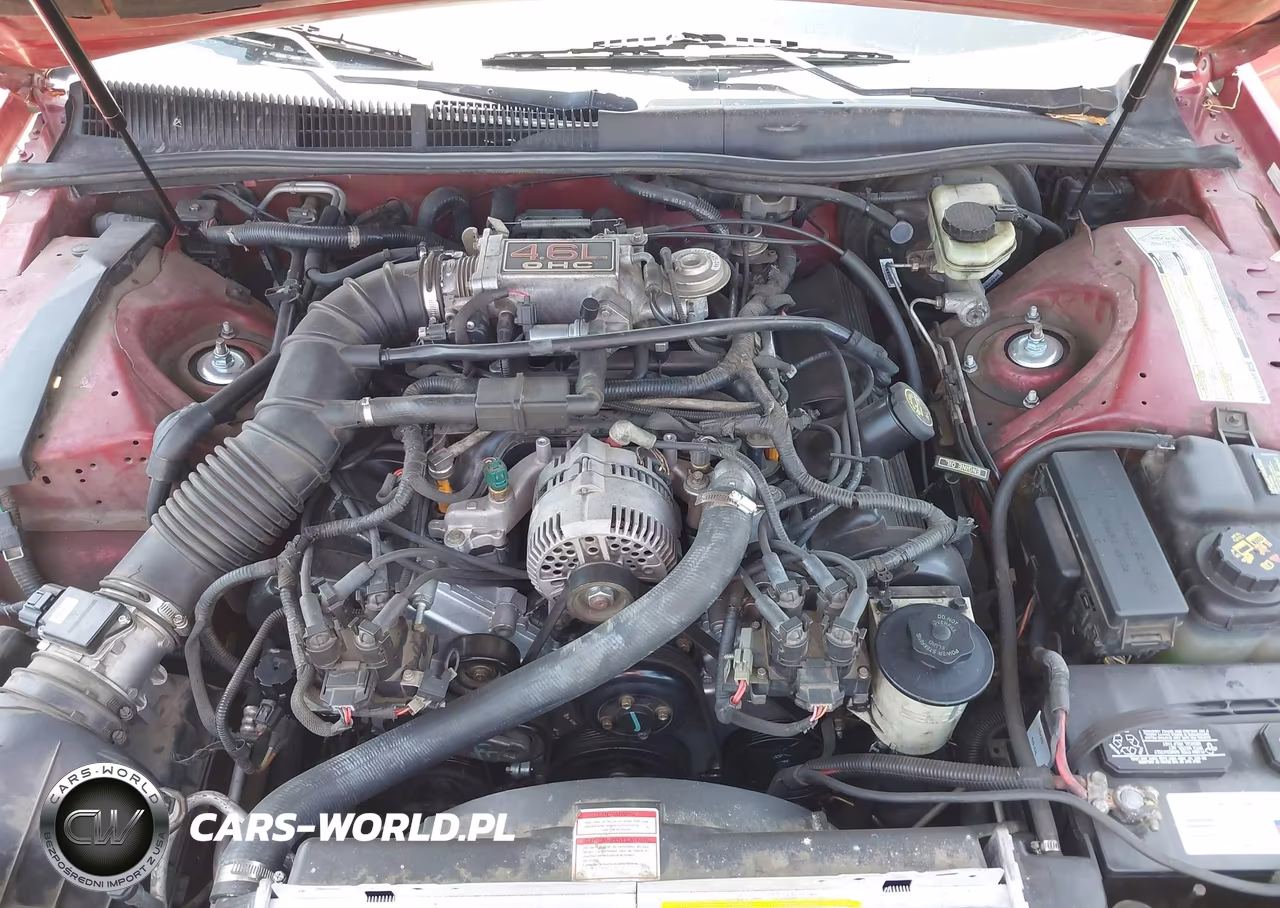 1997 Ford Thunderbird Lx VIN:1FALP62W6VH110319 - 10