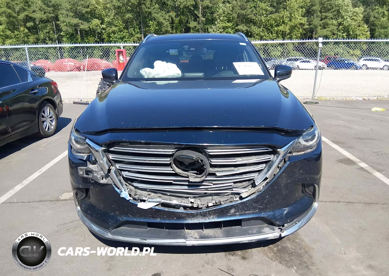 2016 Mazda Cx-9 Grand Touring VIN:JM3TCBDY3G0106055 - 12