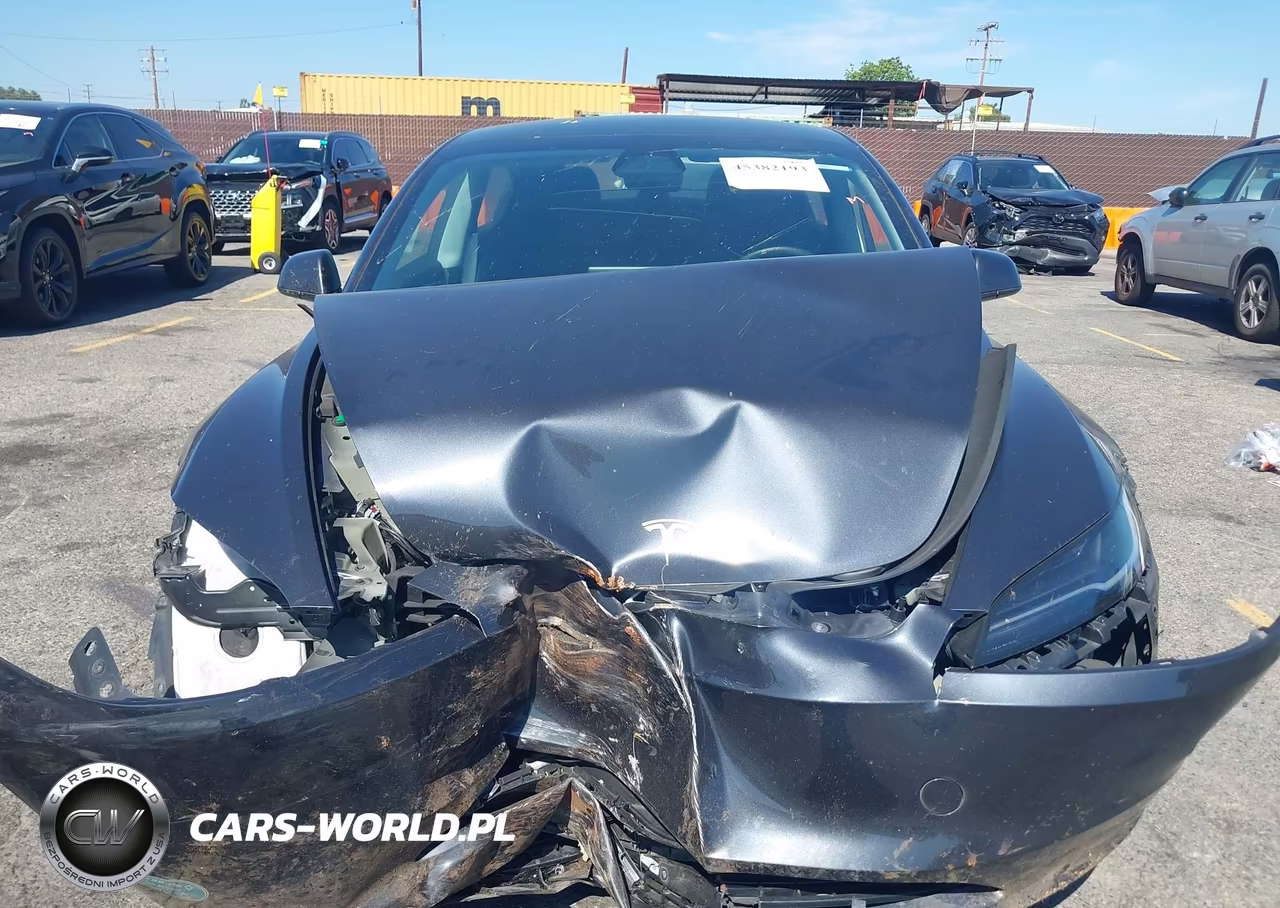 2025 Tesla Model 3 Long Range Rear-Wheel Drive-Standard Rear-Wheel Drive VIN:5YJ3E1EAXSF982517 - 12