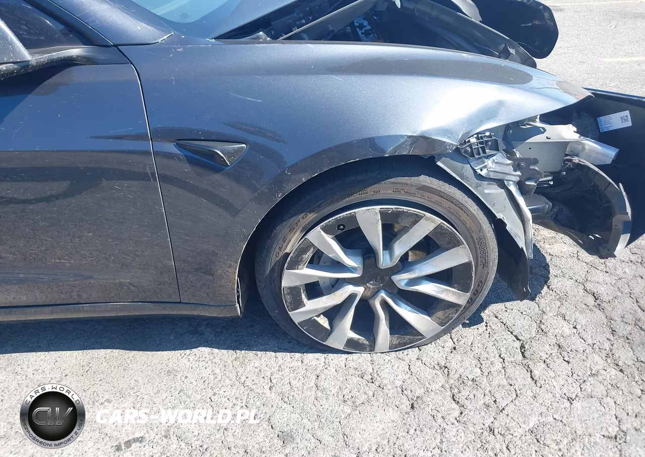 2025 Tesla Model 3 Long Range Rear-Wheel Drive-Standard Rear-Wheel Drive VIN:5YJ3E1EAXSF982517 - 21