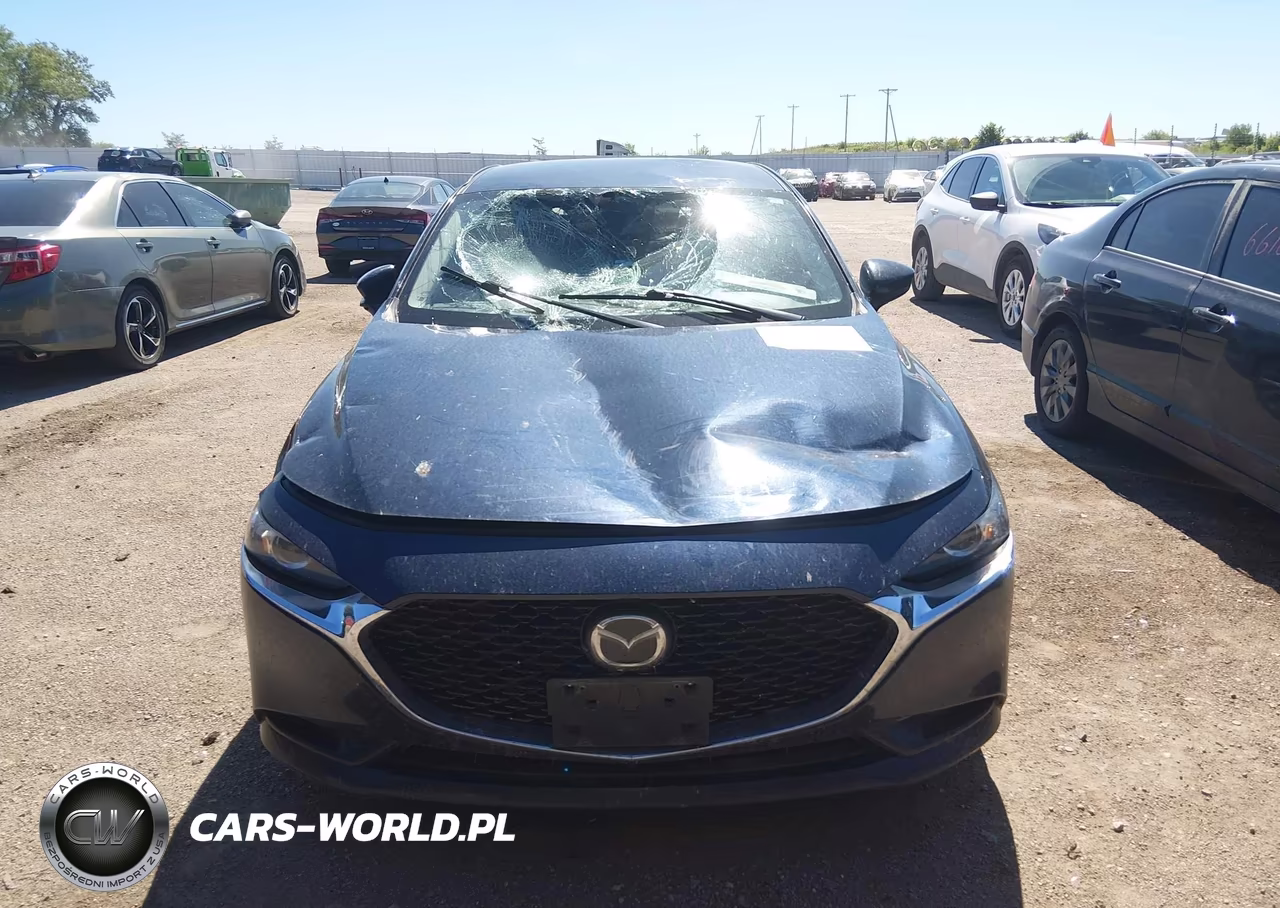 2019 Mazda Mazda3 Preferred Package VIN:JM1BPBDM1K1115507 - 11