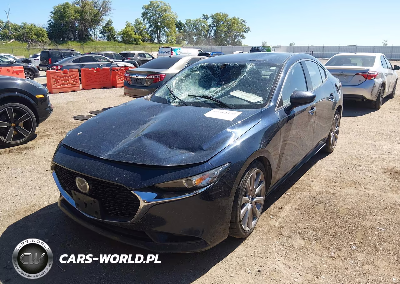 2019 Mazda Mazda3 Preferred Package VIN:JM1BPBDM1K1115507 - 2