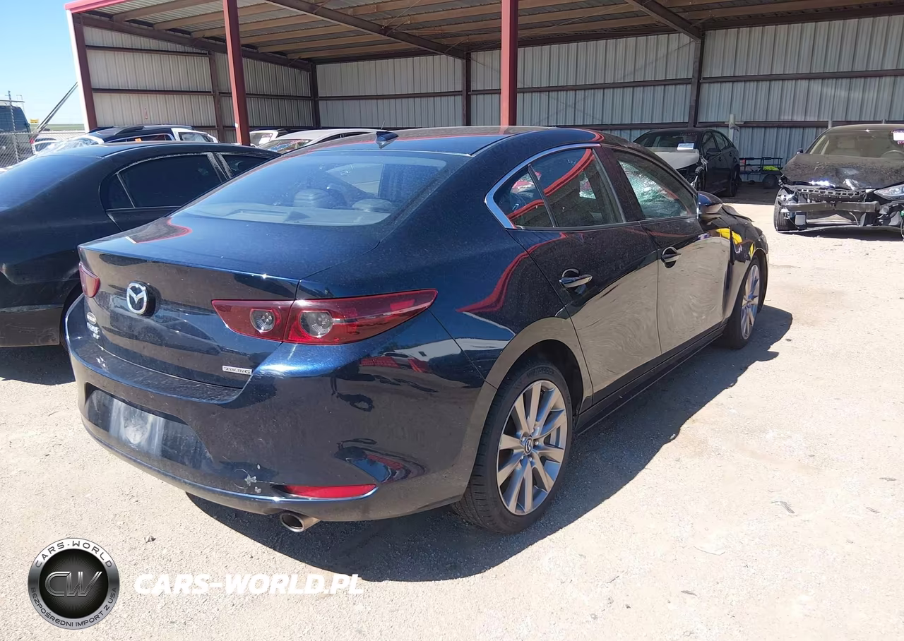 2019 Mazda Mazda3 Preferred Package VIN:JM1BPBDM1K1115507 - 4