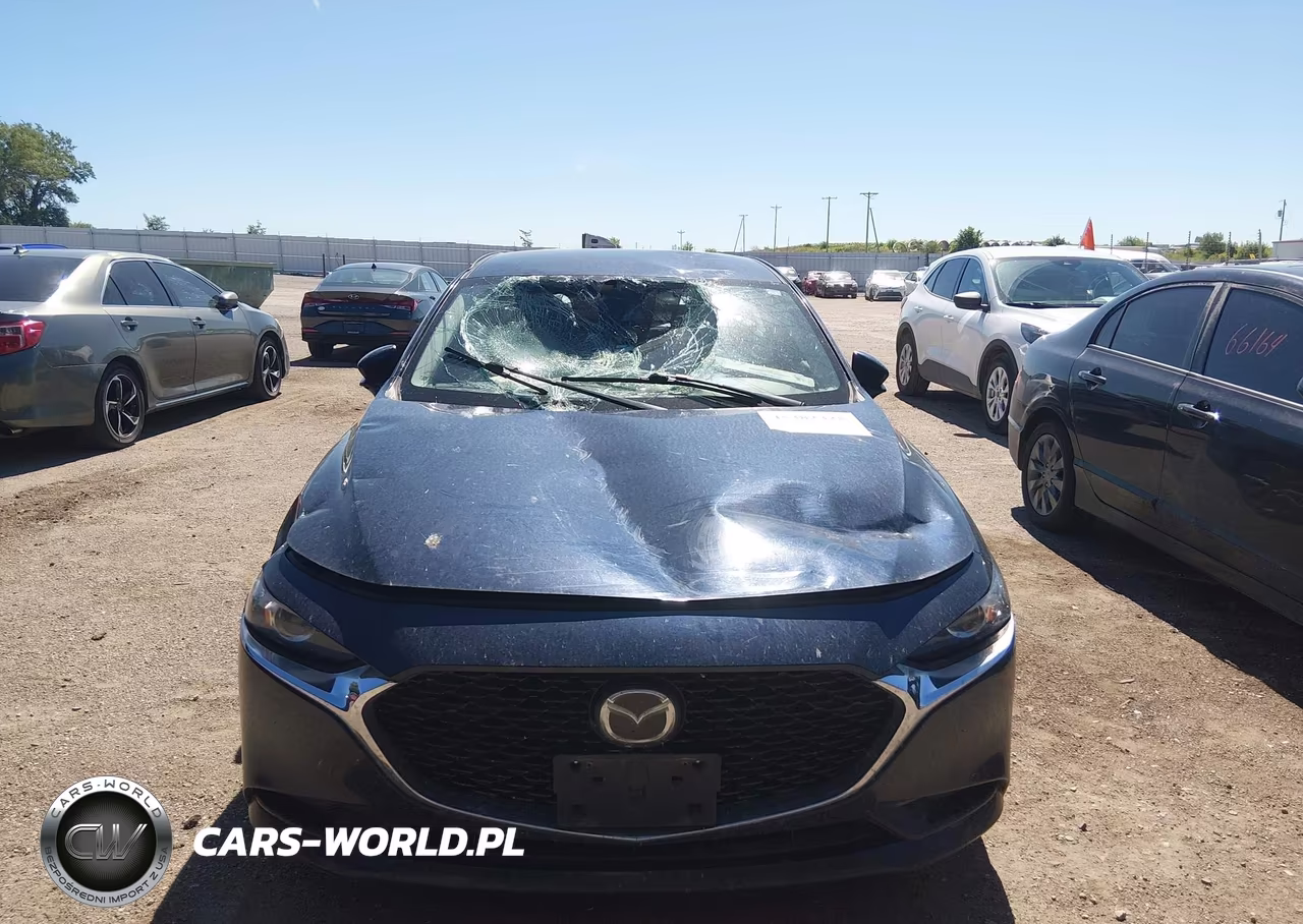 2019 Mazda Mazda3 Preferred Package VIN:JM1BPBDM1K1115507 - 6