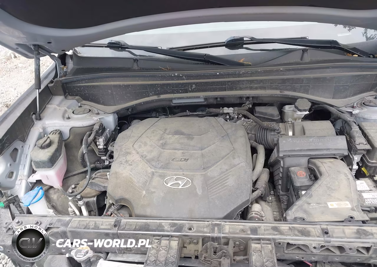 2021 Hyundai Palisade Sel VIN:KM8R34HE6MU299476 - 10