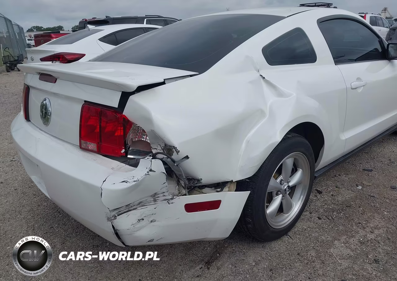 2007 Ford Mustang V6 Deluxe-V6 Premium VIN:1ZVHT80N075366345 - 6