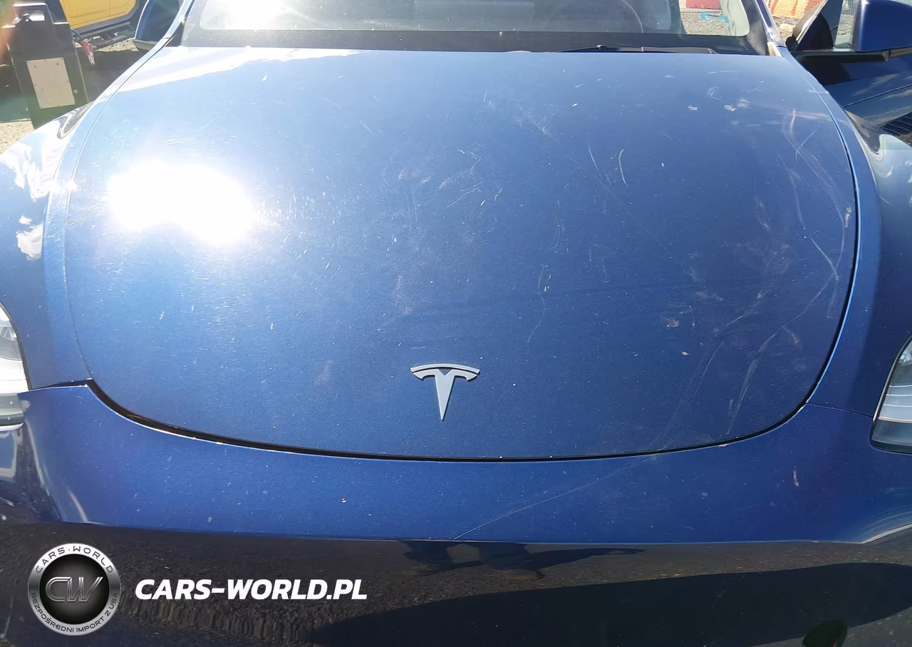 2021 Tesla Model Y Long Range Dual Motor All-Wheel Drive VIN:5YJYGDEE8MF094209 - 10
