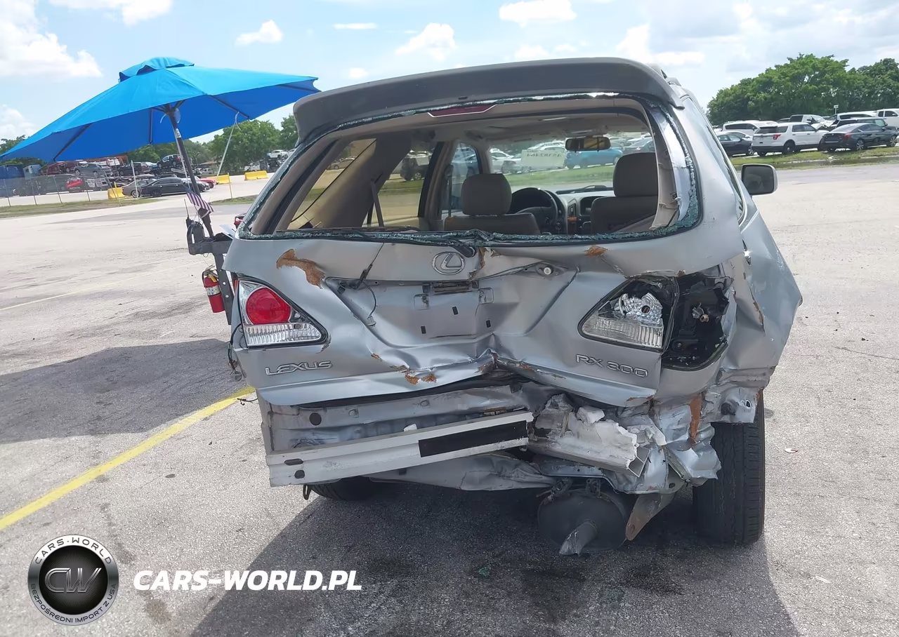 2003 Lexus Rx 300 VIN:JTJGF10U530160429 - 6