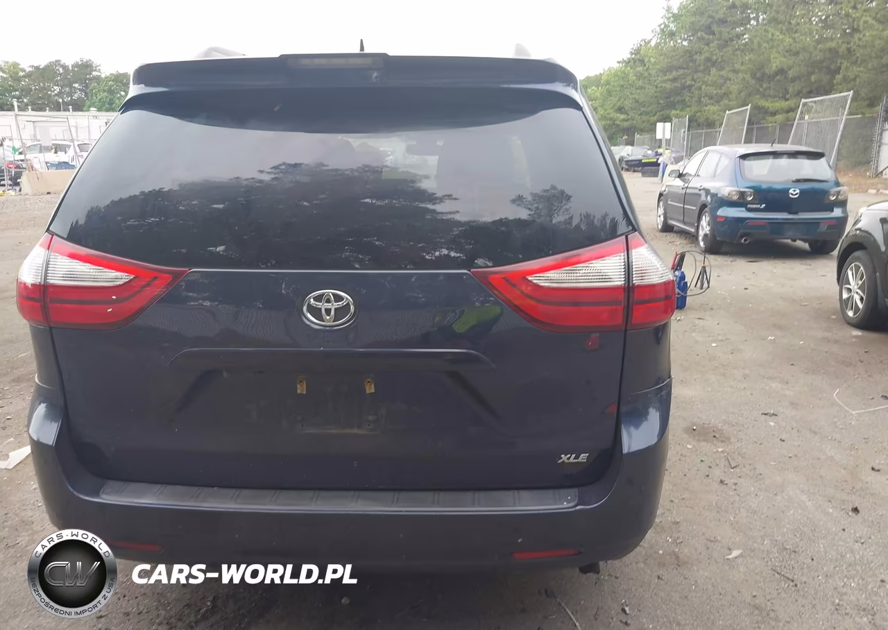 2018 Toyota Sienna Xle 8 Passenger VIN:5TDYZ3DC9JS960141 - 16