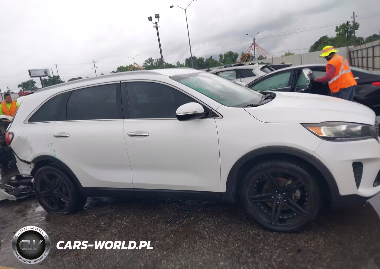 2020 Kia Sorento 2.4L Lx VIN:5XYPG4A32LG698927 - 13