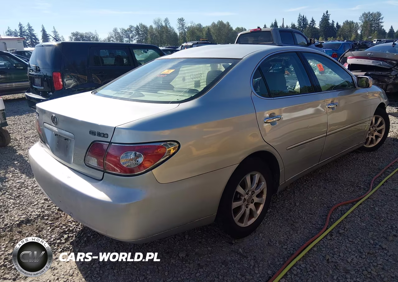 2002 Lexus Es 300 VIN:JTHBF30G320026485 - 4