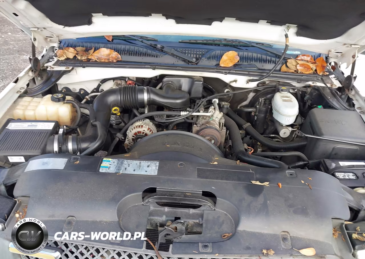 2003 Chevrolet Silverado 1500 Work Truck VIN:1GCEC14X33Z297095 - 10