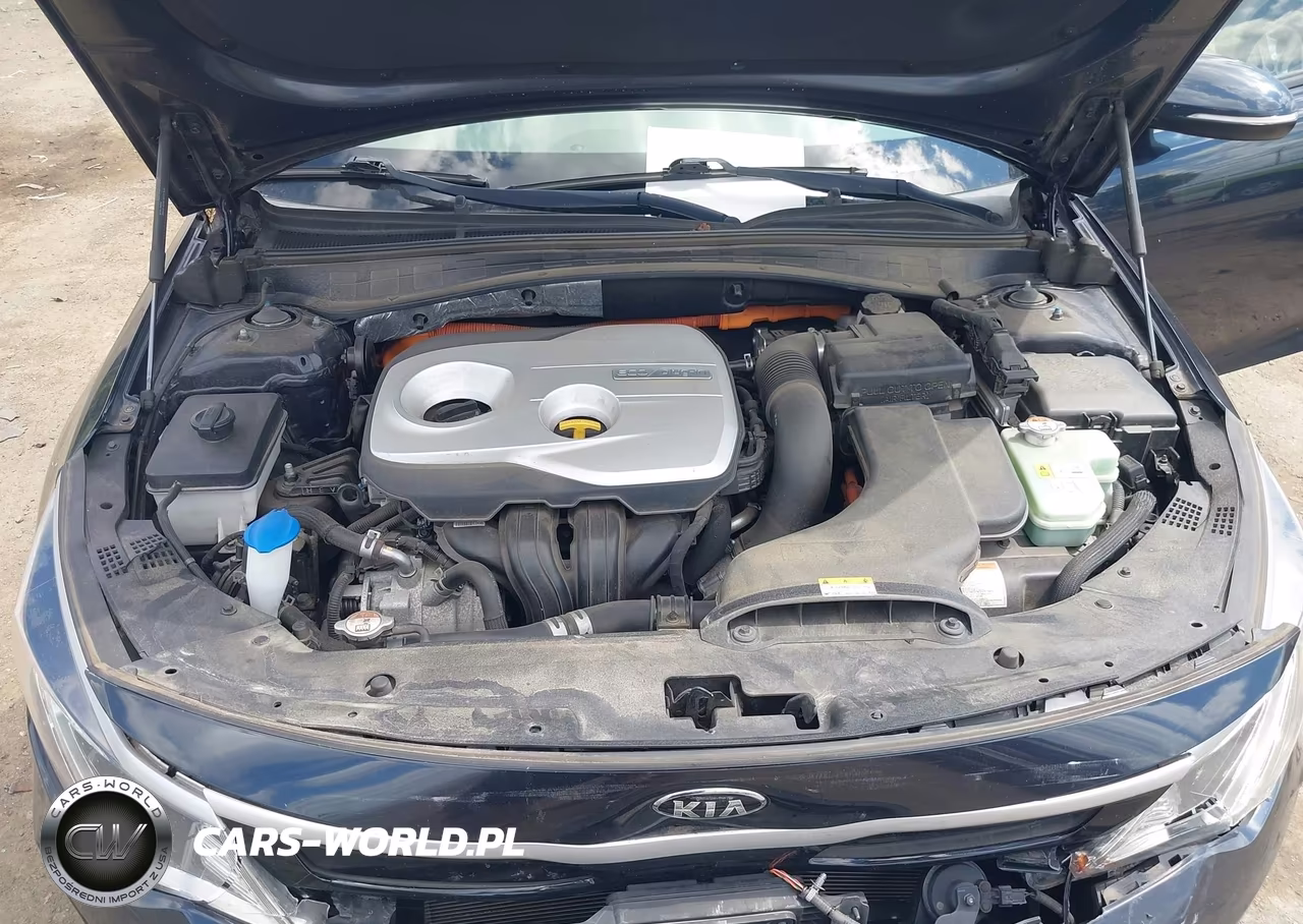 2017 Kia Optima Plug-In Hybrid Ex VIN:KNAGV4LD0H5013333 - 10
