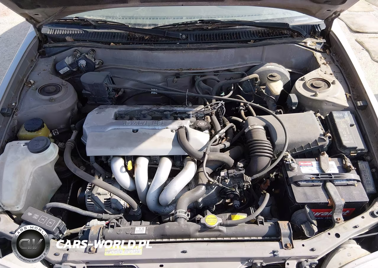 1998 Toyota Corolla Ce VIN:1NXBR12E9WZ113861 - 10
