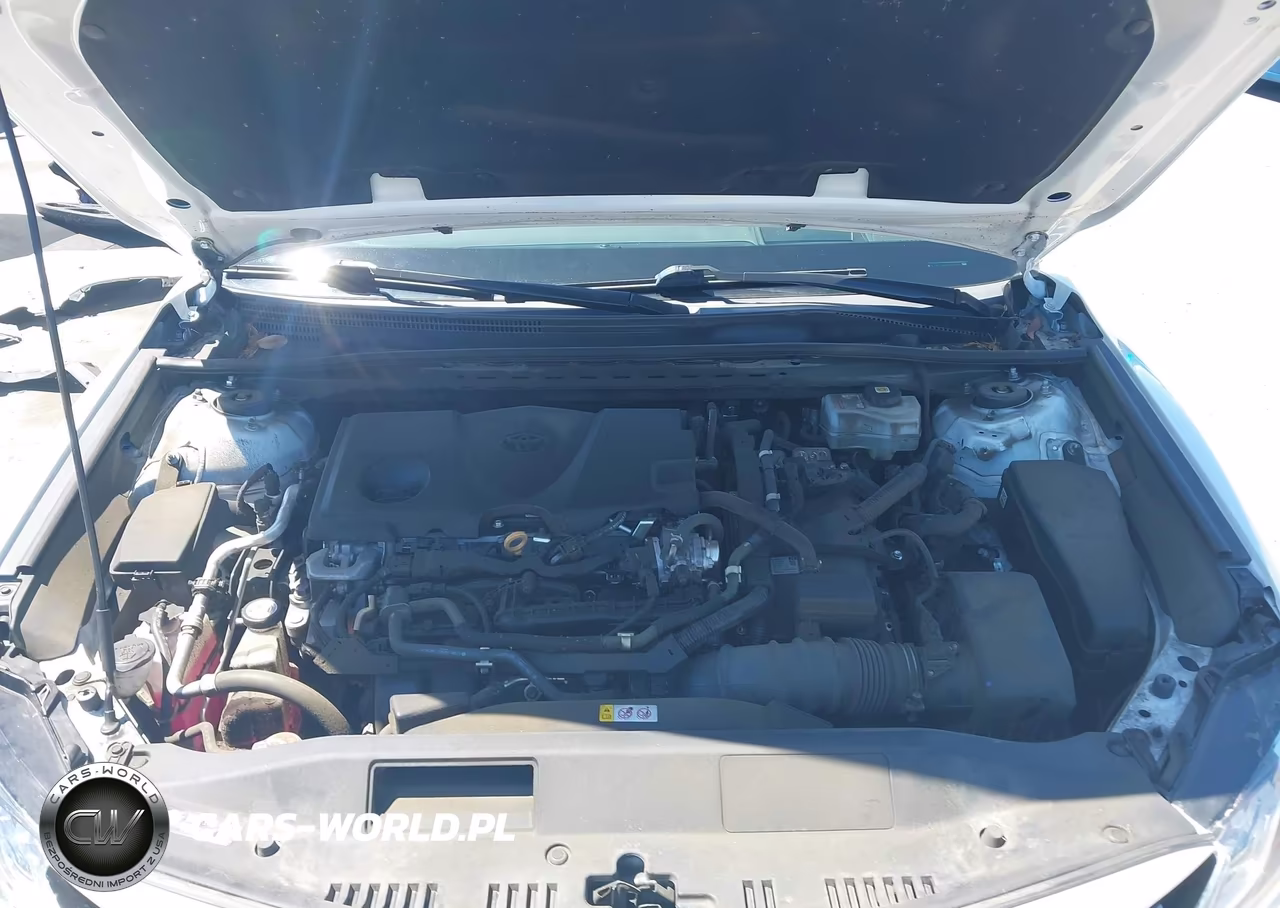 2021 Toyota Camry Xle Hybrid VIN:4T1F31AK5MU561151 - 10