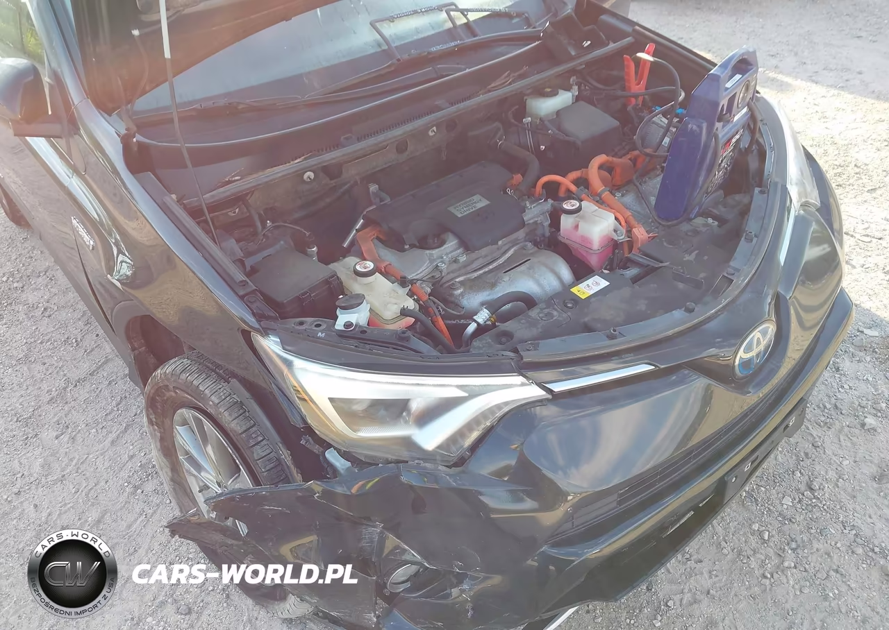 2017 Toyota Rav4 Hybrid Limited VIN:JTMDJREVXHD116303 - 19