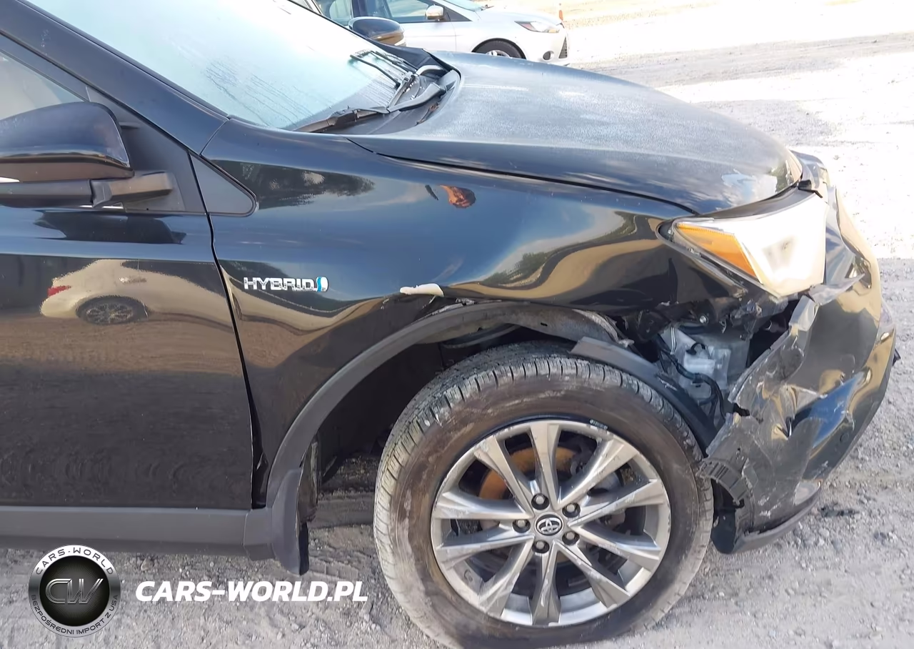 2017 Toyota Rav4 Hybrid Limited VIN:JTMDJREVXHD116303 - 20