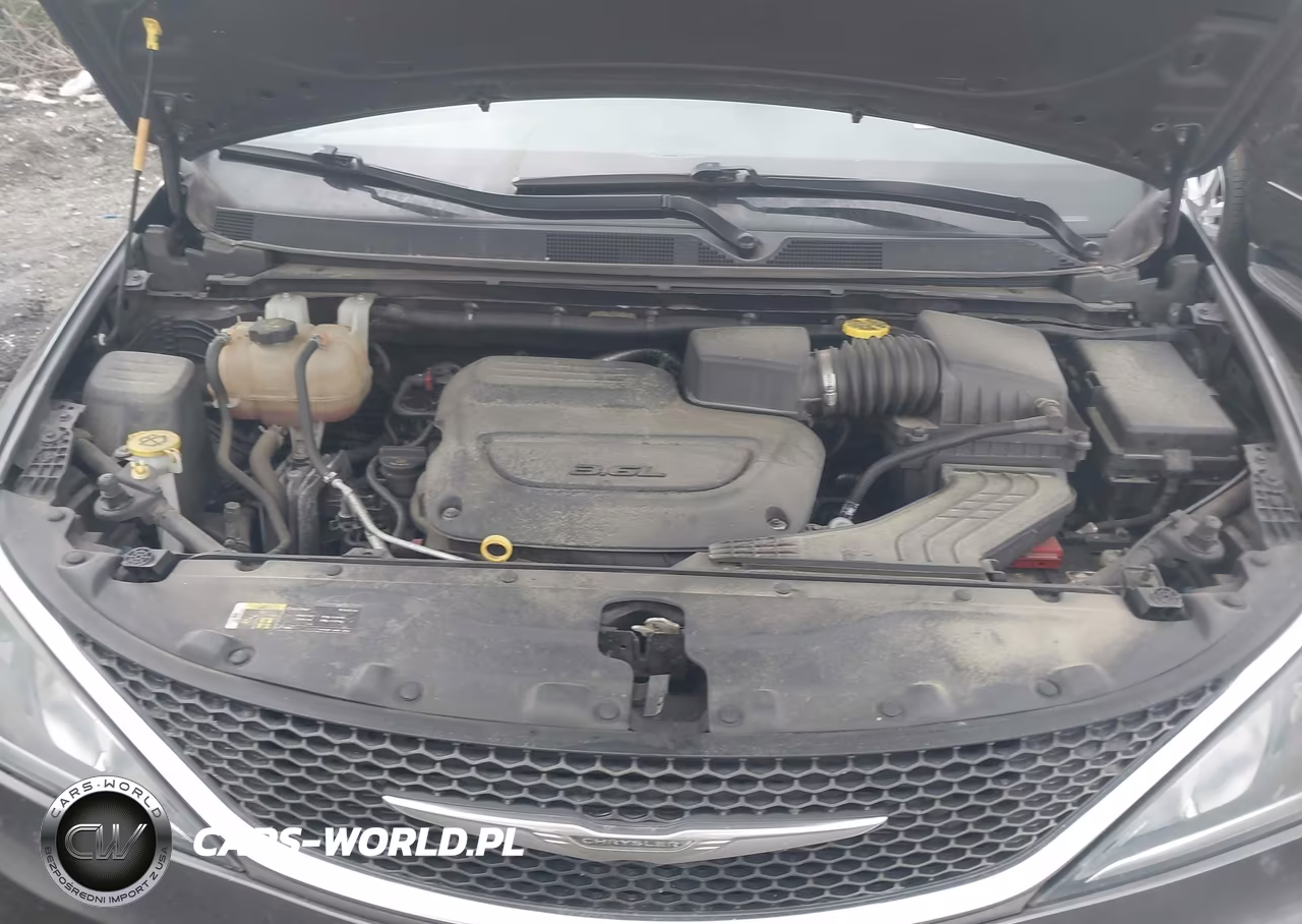2020 Chrysler Pacifica 35Th Anniversary Touring L VIN:2C4RC1BG4LR141324 - 10