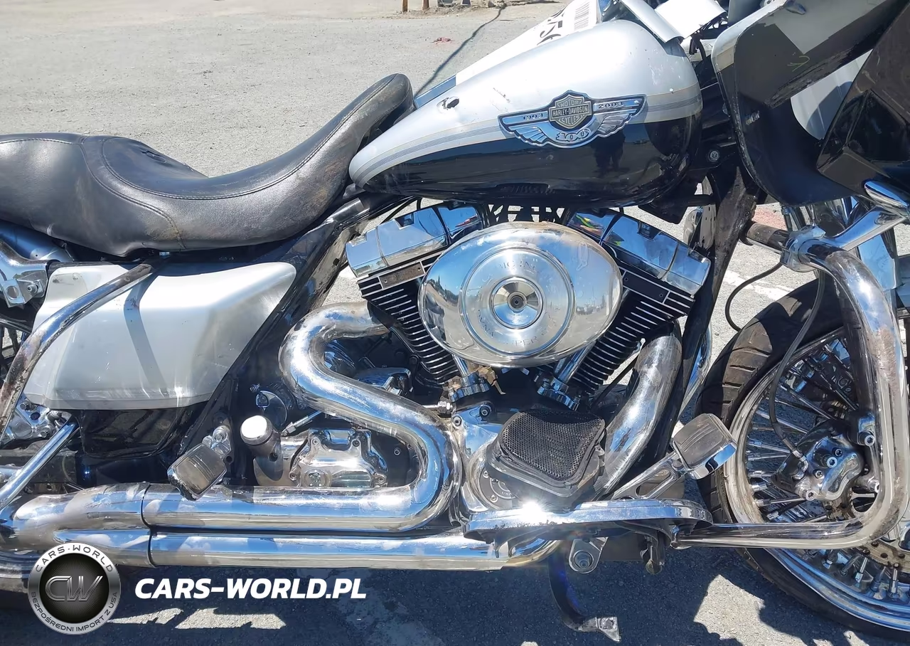 2003 Harley-Davidson Fltri Anniversary VIN:1HD1FSW553Y612121 - 8