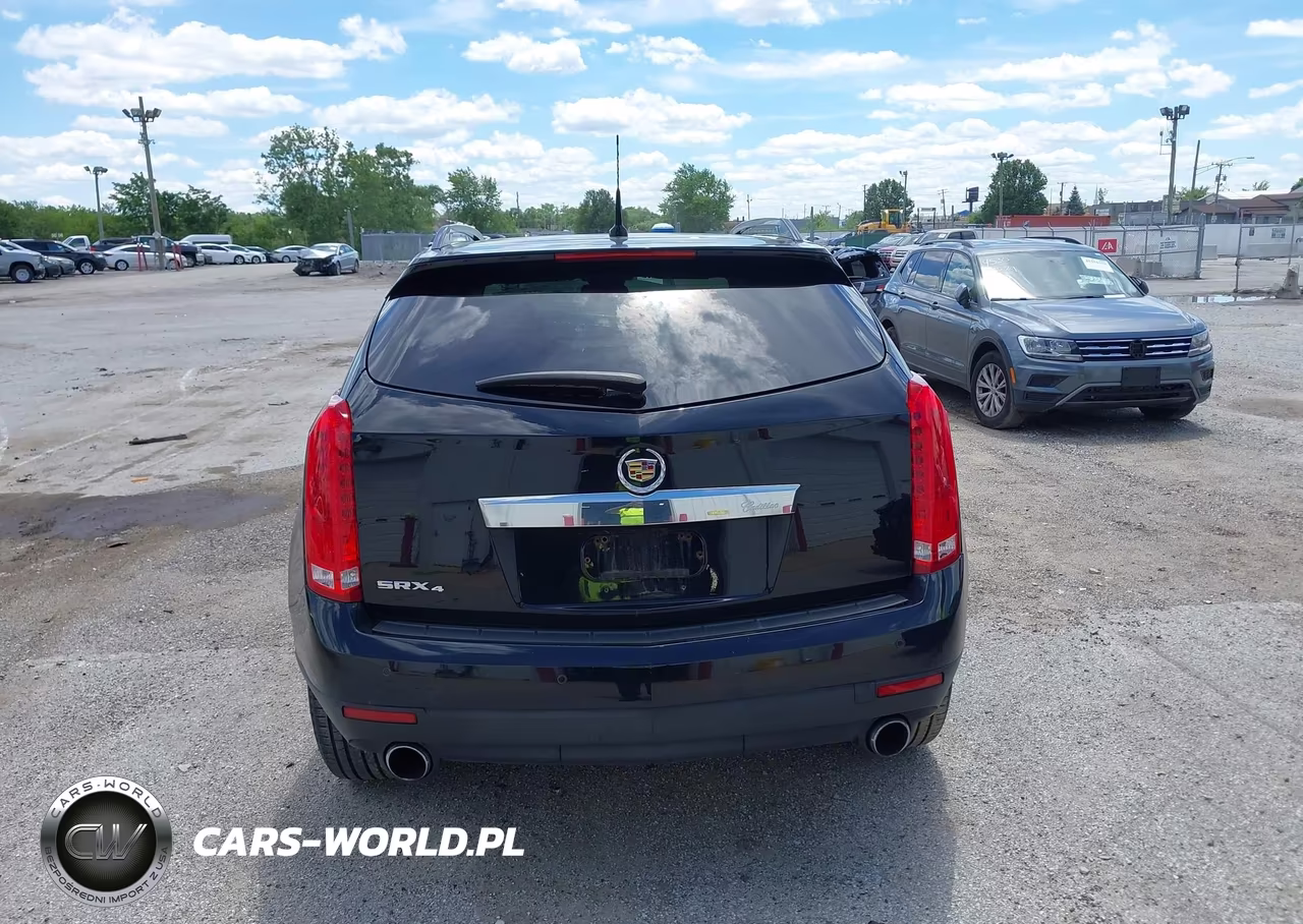 2010 Cadillac Srx Luxury Collection VIN:3GYFNDEY8AS596982 - 16
