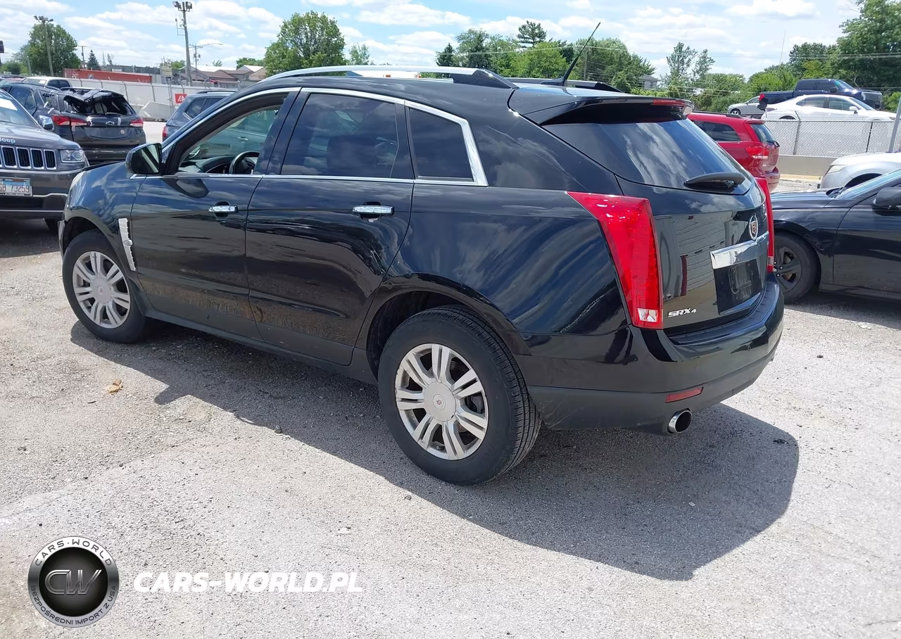 2010 Cadillac Srx Luxury Collection VIN:3GYFNDEY8AS596982 - 3