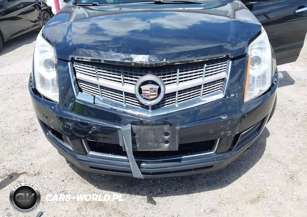 2010 Cadillac Srx Luxury Collection VIN:3GYFNDEY8AS596982 - 6