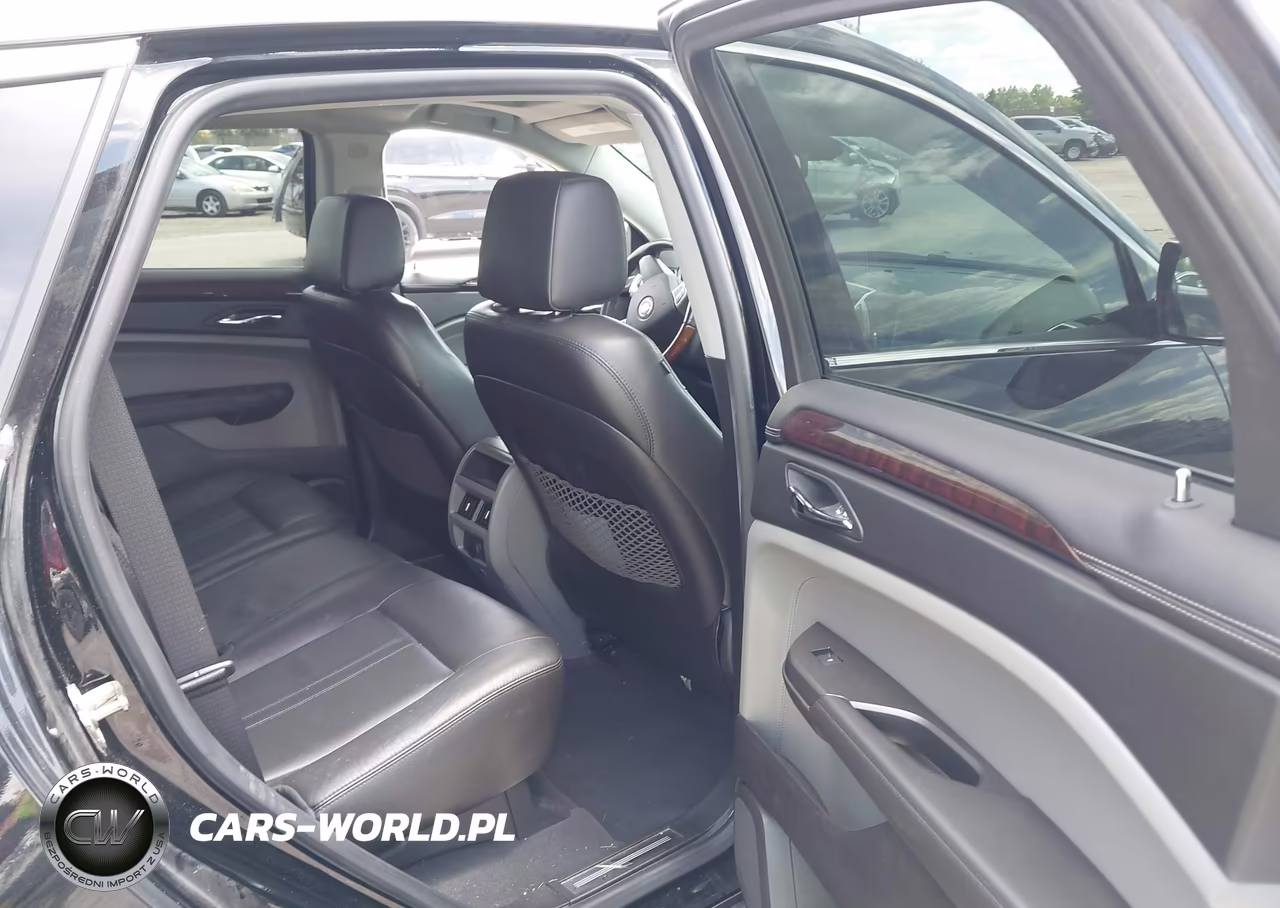 2010 Cadillac Srx Luxury Collection VIN:3GYFNDEY8AS596982 - 8