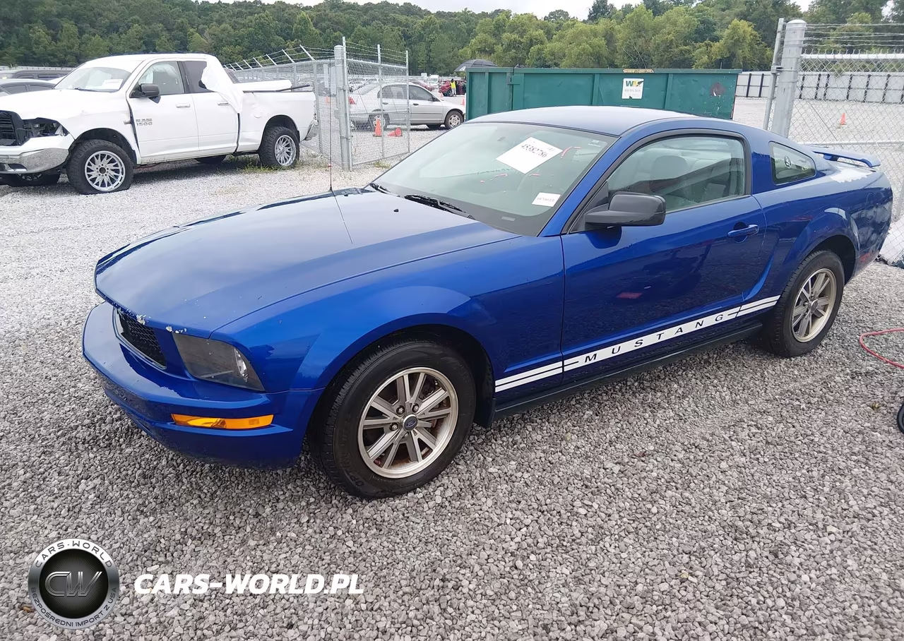 2005 Ford Mustang V6 Deluxe-V6 Premium VIN:1ZVFT80N055130282 - 2