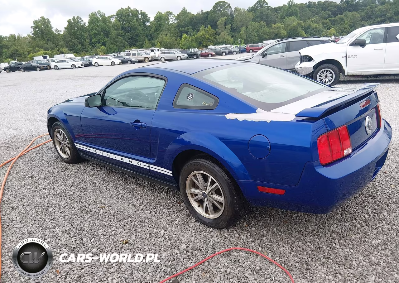2005 Ford Mustang V6 Deluxe-V6 Premium VIN:1ZVFT80N055130282 - 3