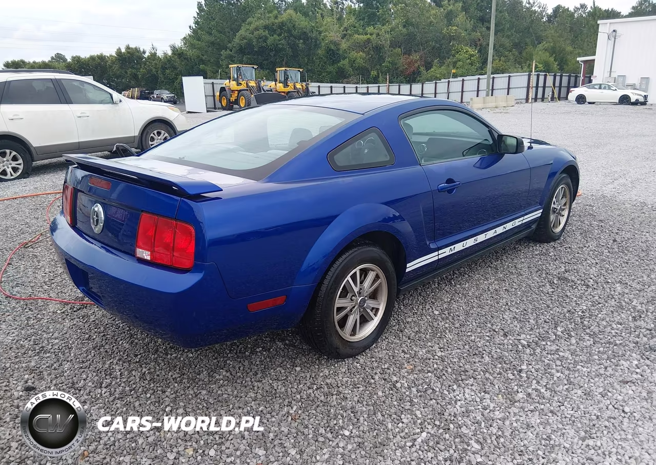 2005 Ford Mustang V6 Deluxe-V6 Premium VIN:1ZVFT80N055130282 - 4