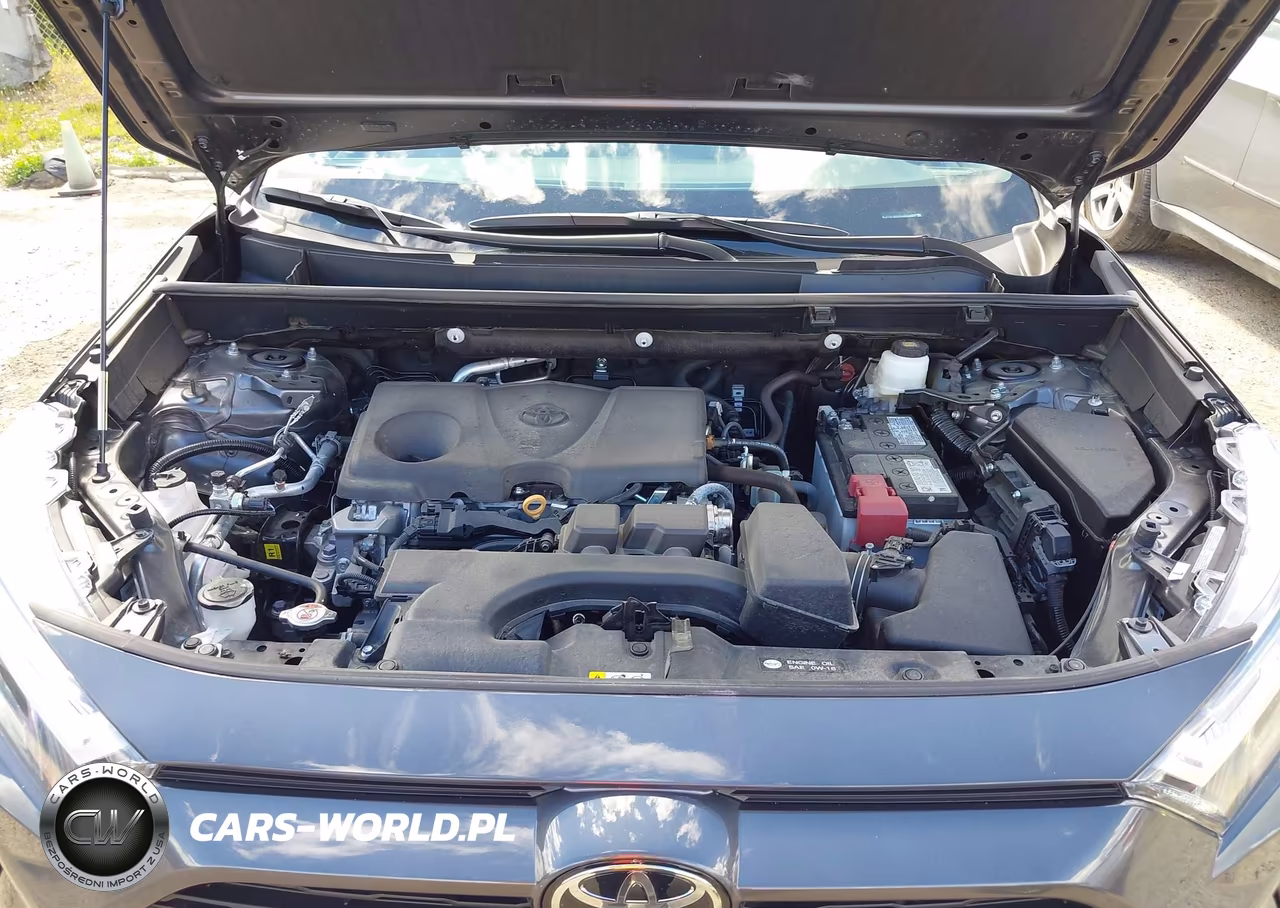 2025 Toyota Rav4 Xle VIN:2T3P1RFV5SW554099 - 10