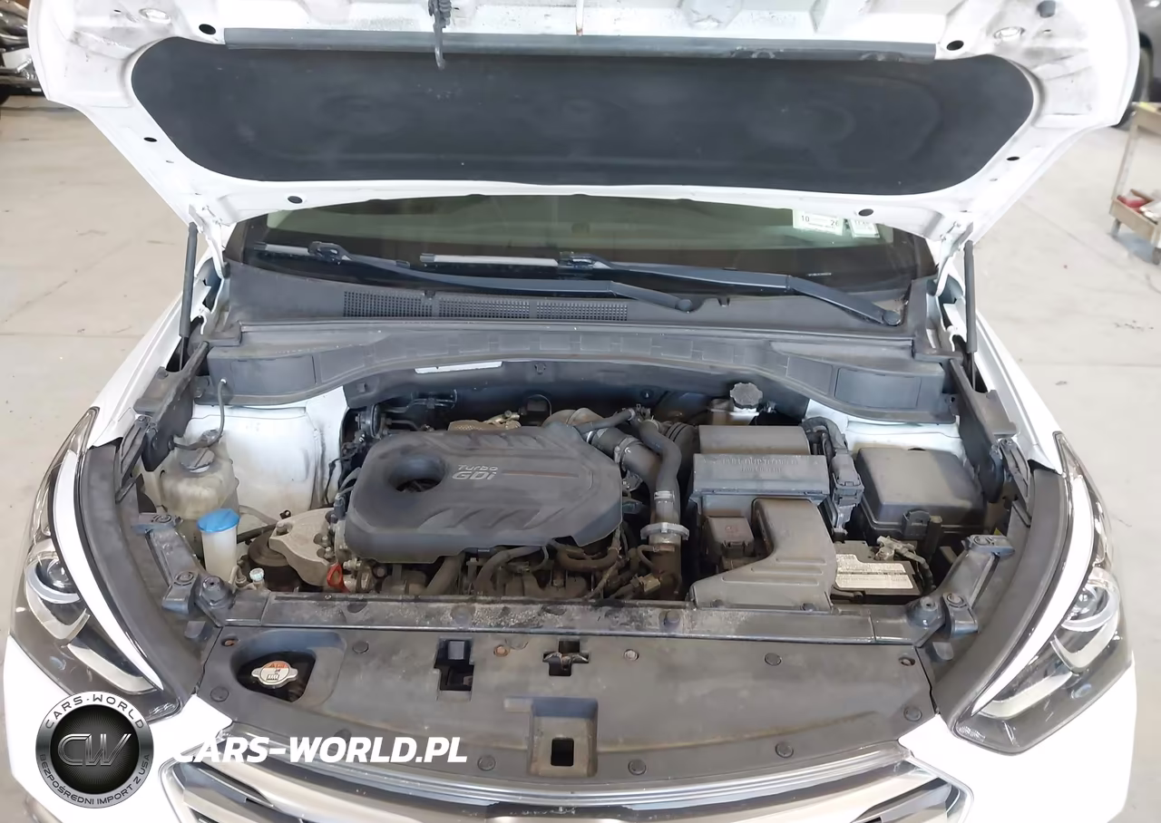 2018 Hyundai Santa Fe Sport 2.0T Ultimate VIN:5XYZWDLA1JG536176 - 10