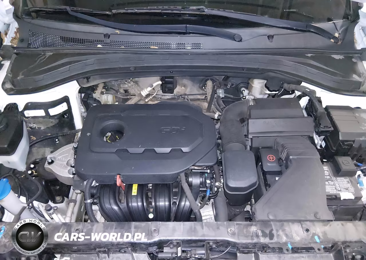 2019 Hyundai Santa Fe Se VIN:5NMS2CAD3KH099700 - 10