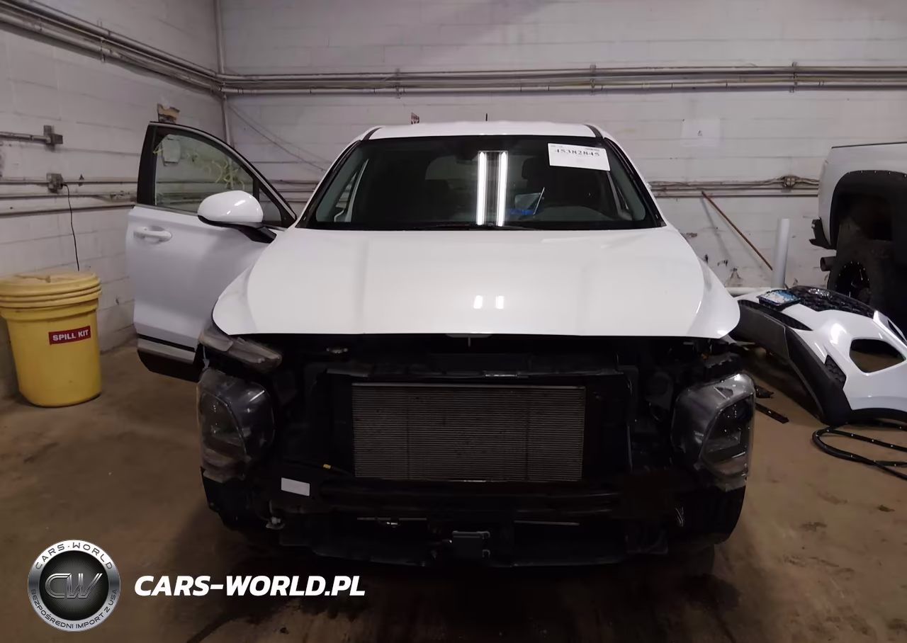 2019 Hyundai Santa Fe Se VIN:5NMS2CAD3KH099700 - 13
