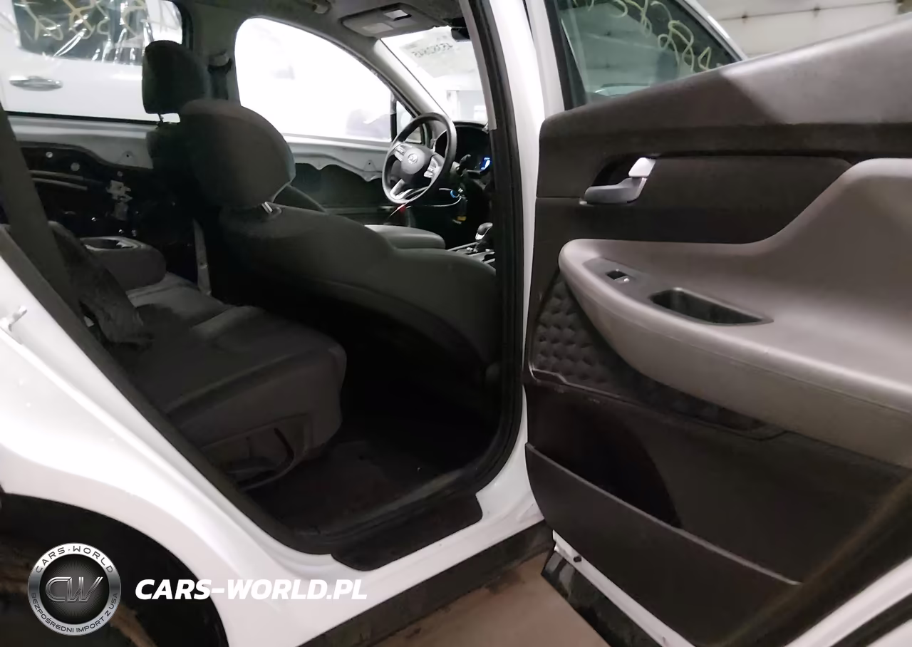 2019 Hyundai Santa Fe Se VIN:5NMS2CAD3KH099700 - 8