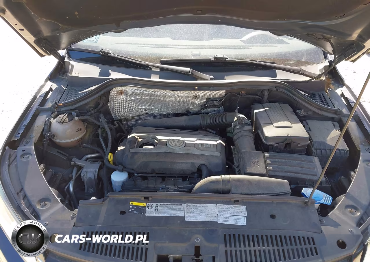 2016 Volkswagen Tiguan R-Line VIN:WVGBV7AX1GW076344 - 10