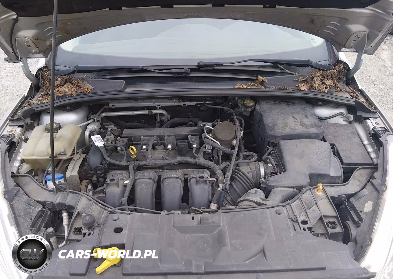 2015 Ford Focus Se VIN:1FADP3F26FL339916 - 10