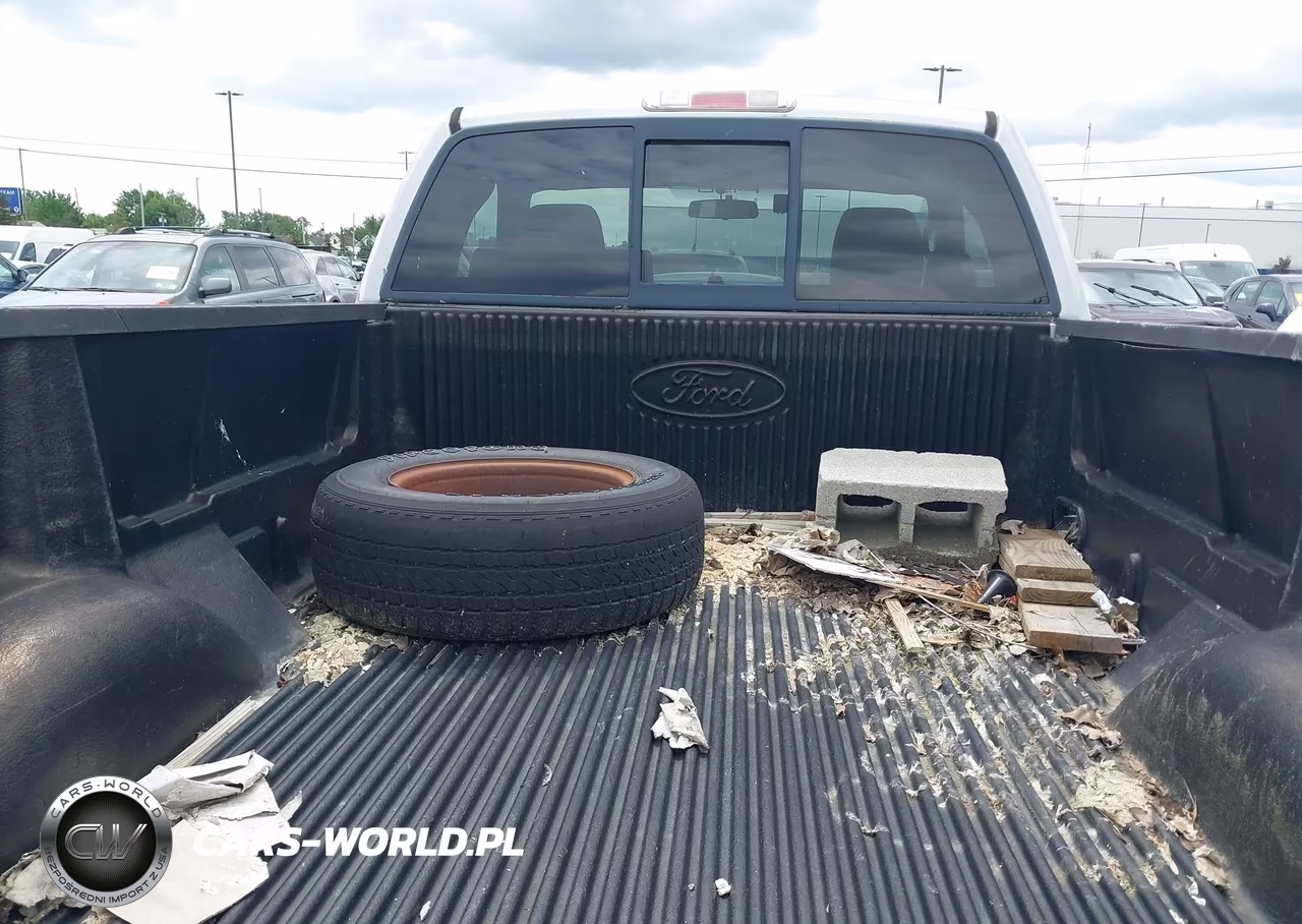 2006 Ford F-150 Stx-Xl-Xlt VIN:1FTRF12266NA34966 - 8