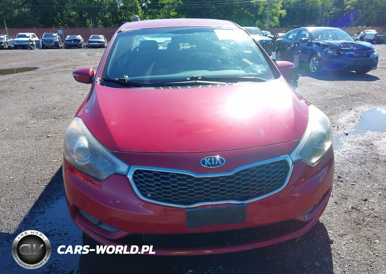 2015 Kia Forte Ex VIN:KNAFX4A88F5315333 - 12