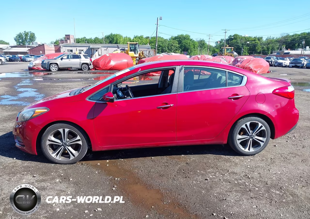 2015 Kia Forte Ex VIN:KNAFX4A88F5315333 - 14