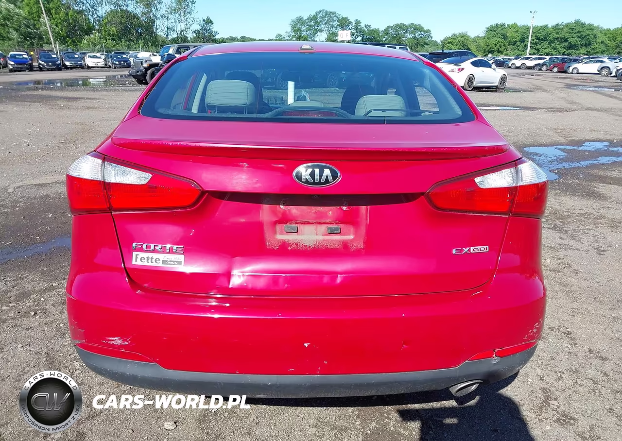 2015 Kia Forte Ex VIN:KNAFX4A88F5315333 - 16