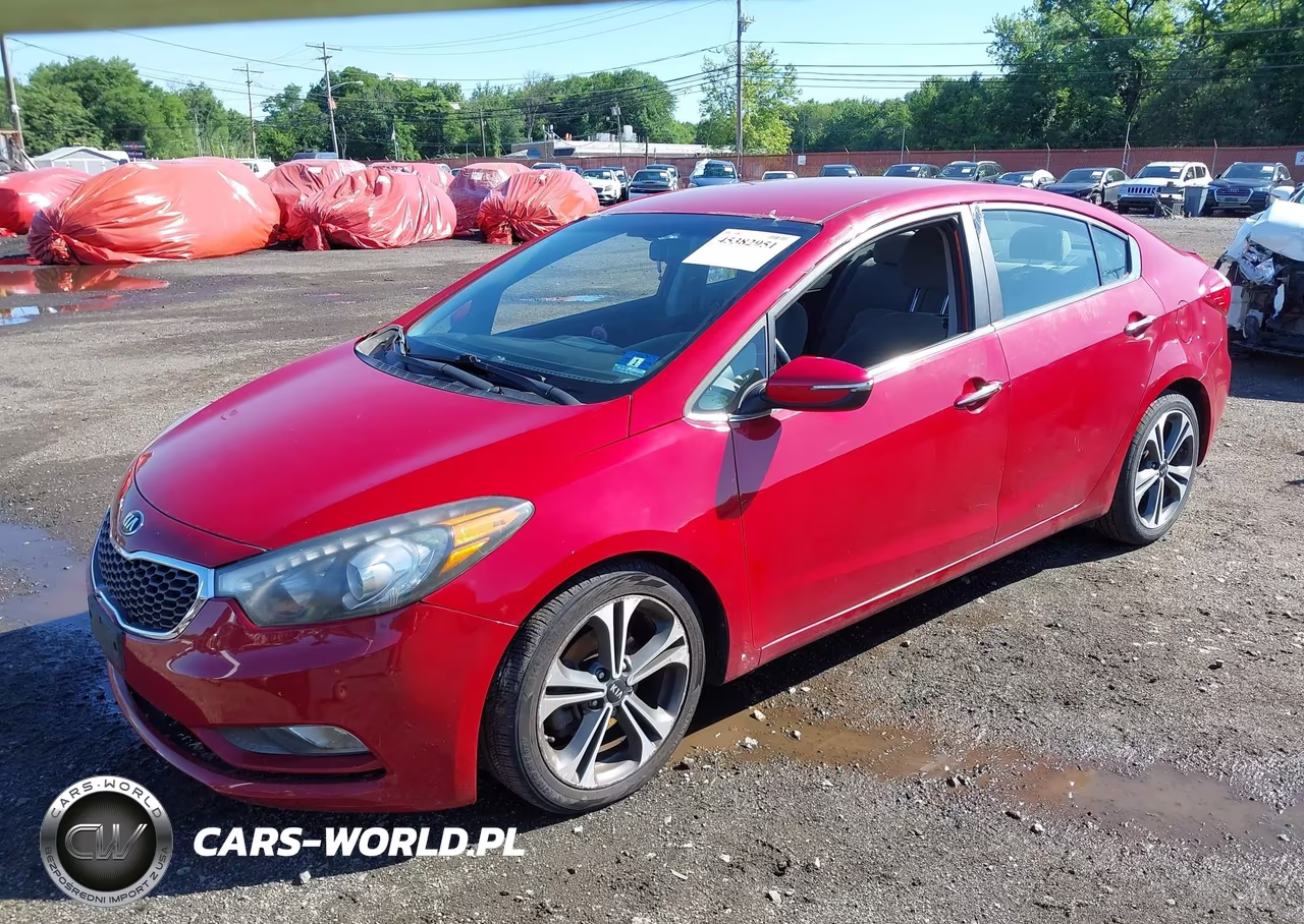 2015 Kia Forte Ex VIN:KNAFX4A88F5315333 - 17
