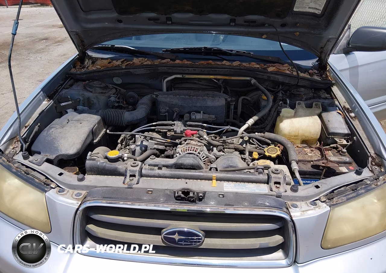 2003 Subaru Forester Xs VIN:JF1SG65663H760773 - 10