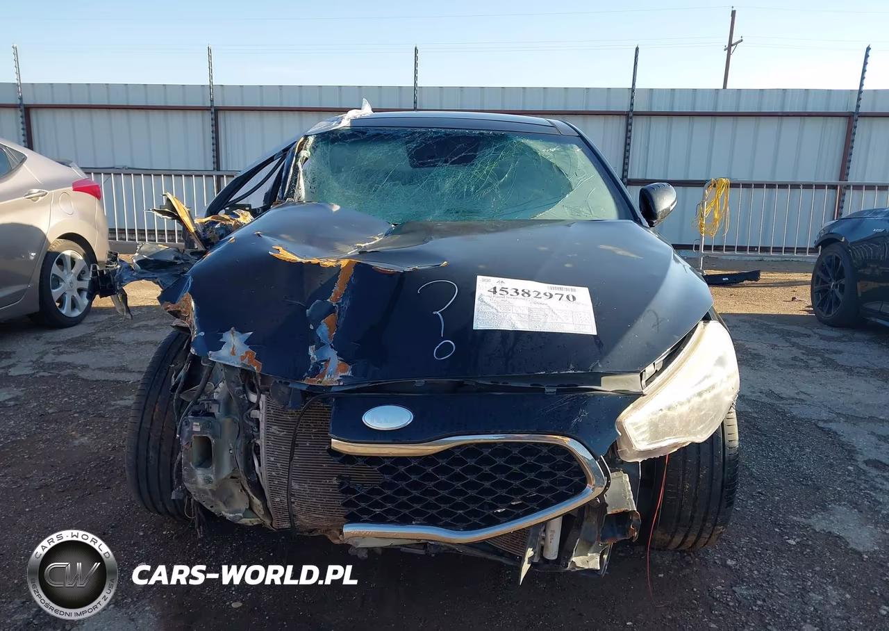 2014 Kia Cadenza Premium VIN:KNALN4D79E5120643 - 12