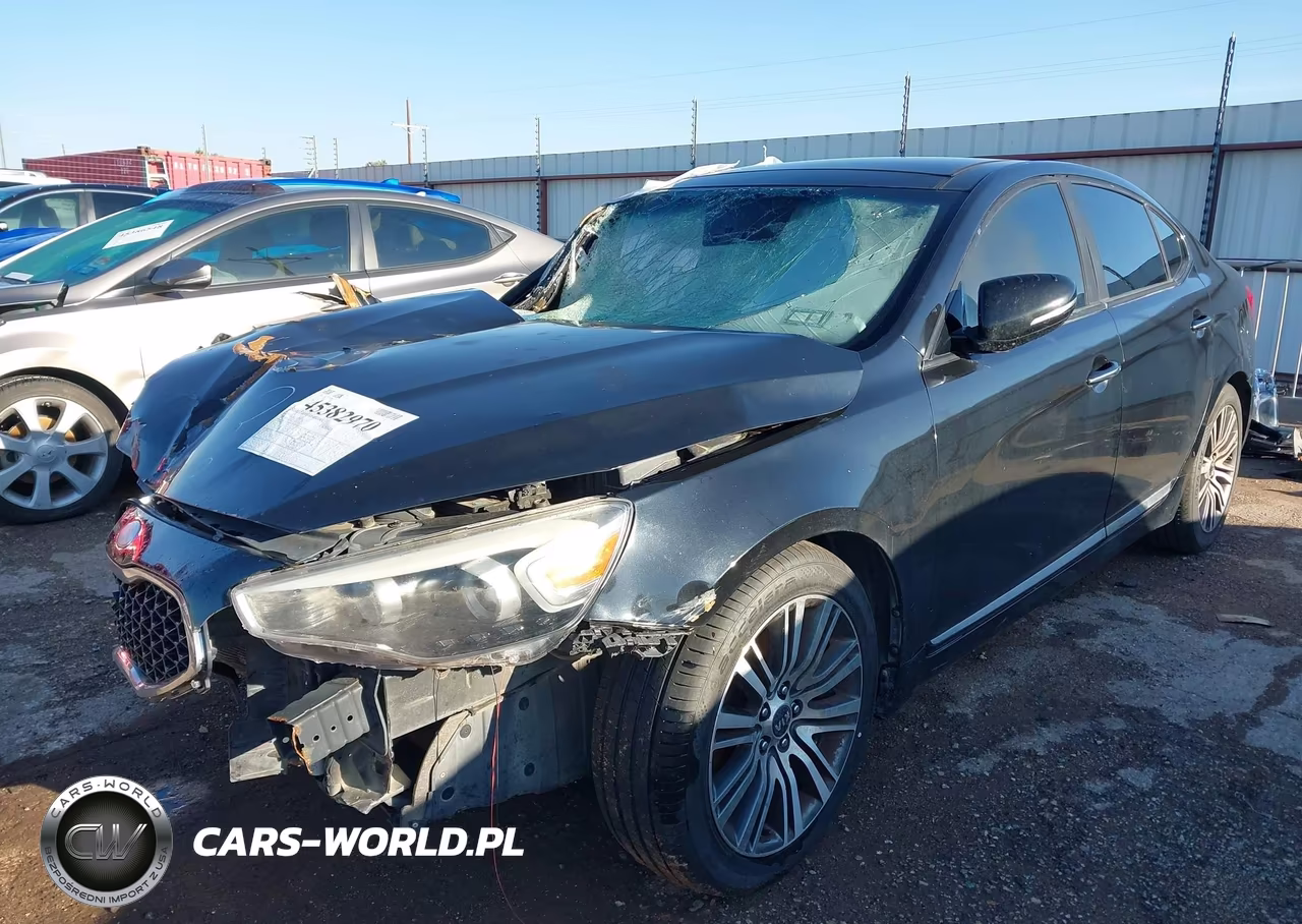 2014 Kia Cadenza Premium VIN:KNALN4D79E5120643 - 2