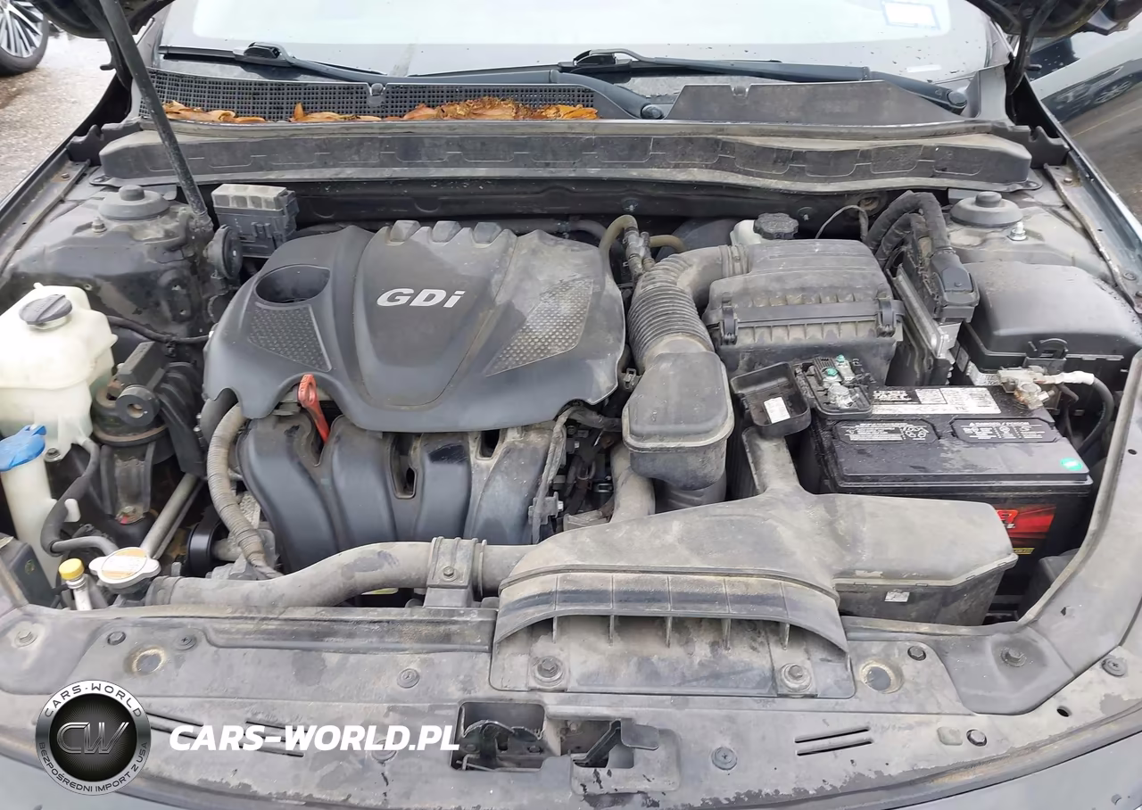 2011 Kia Optima Ex VIN:KNAGN4A77B5141539 - 10