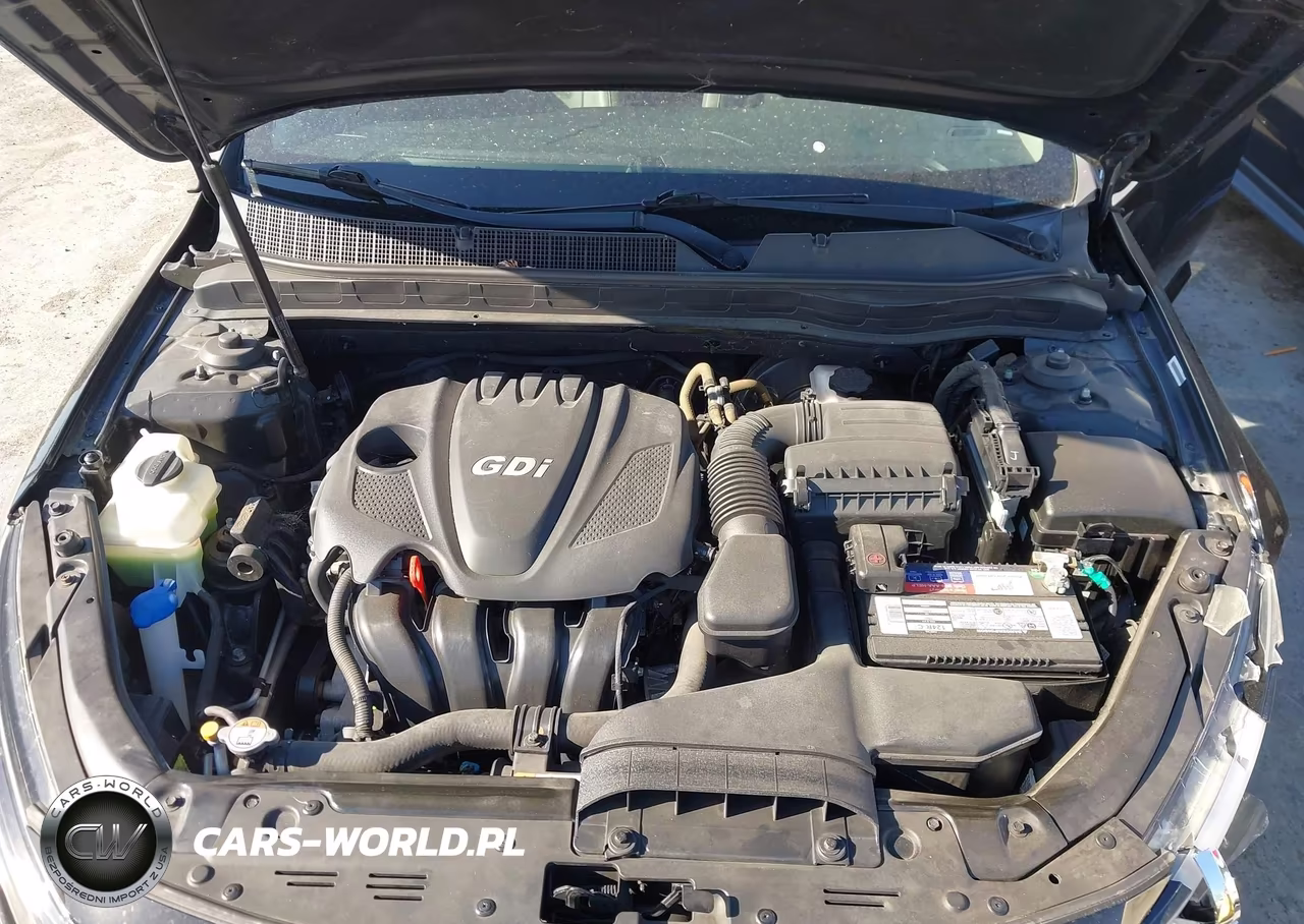 2014 Kia Optima Ex VIN:5XXGN4A73EG321250 - 10
