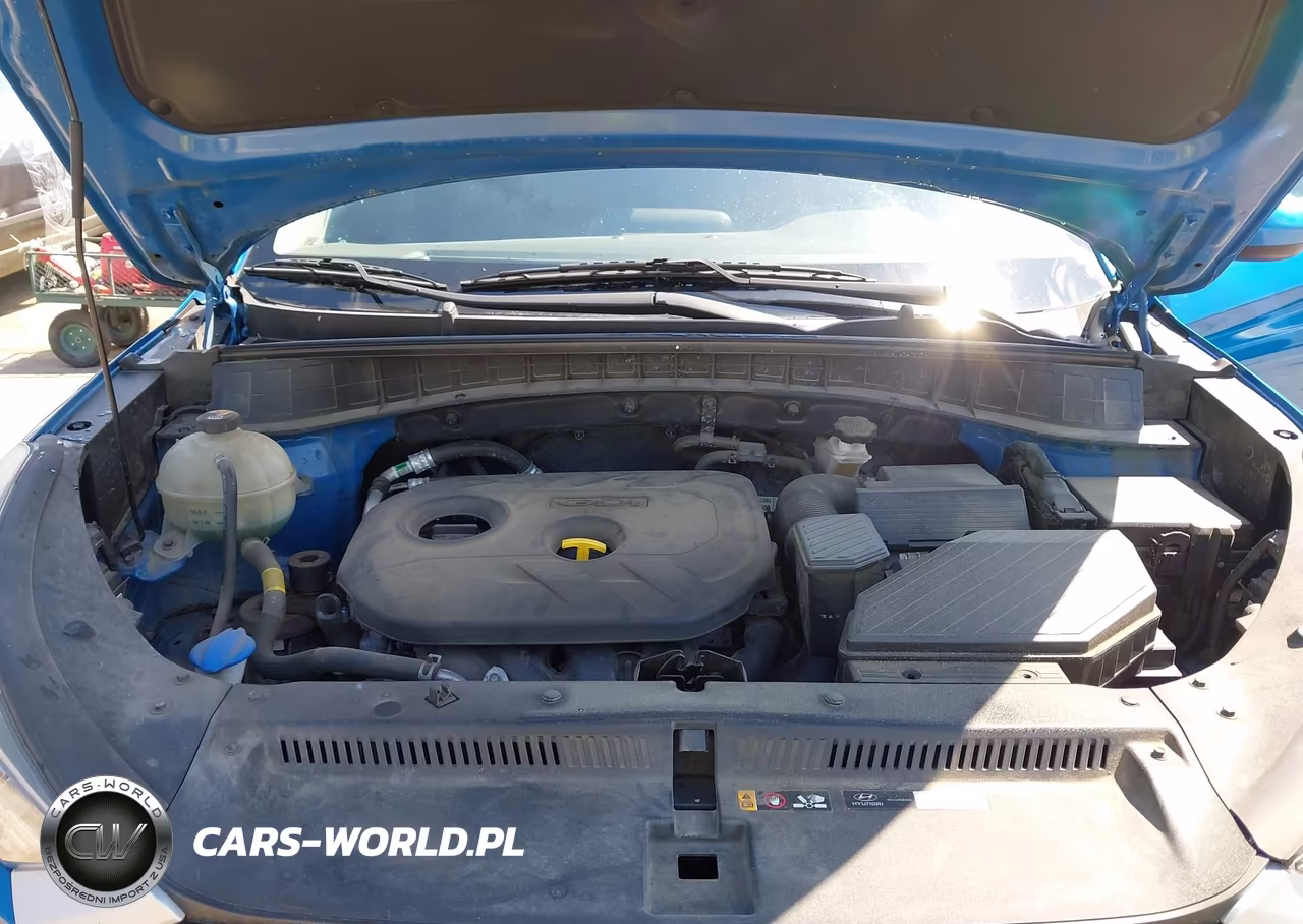 2019 Hyundai Tucson Value VIN:KM8J3CA42KU078222 - 10