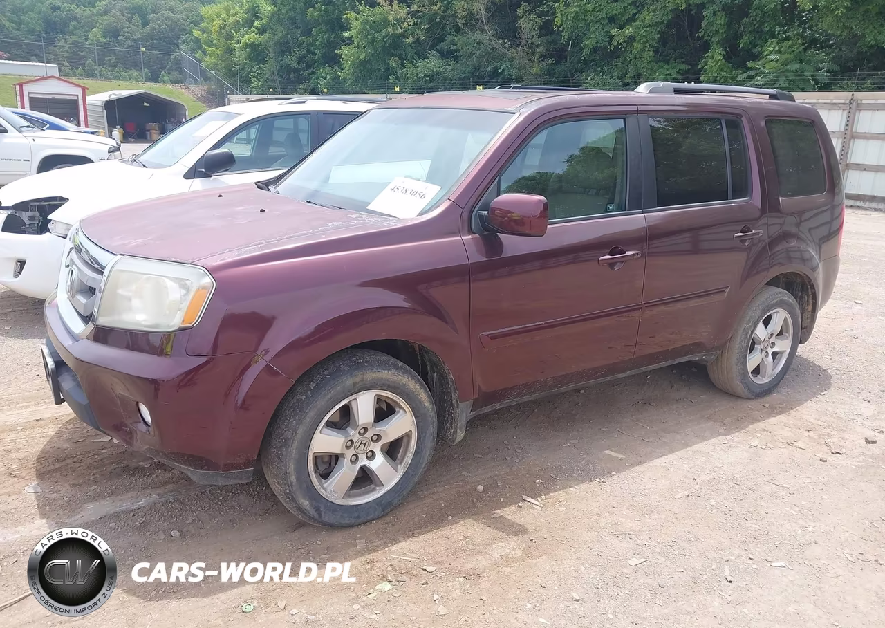 2011 Honda Pilot Ex-L VIN:5FNYF4H52BB084237 - 2