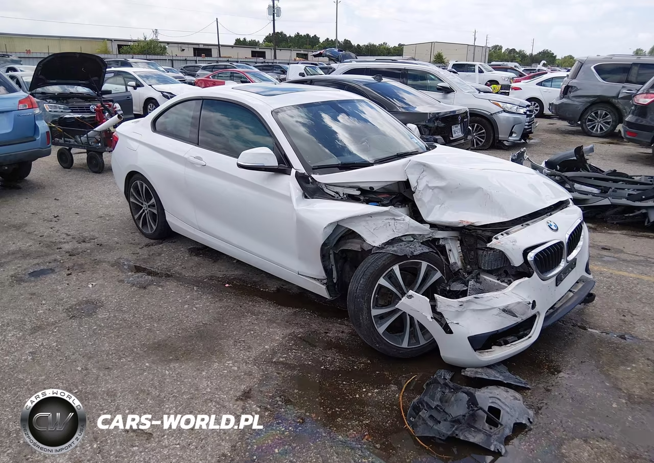 2018 BMW 230I